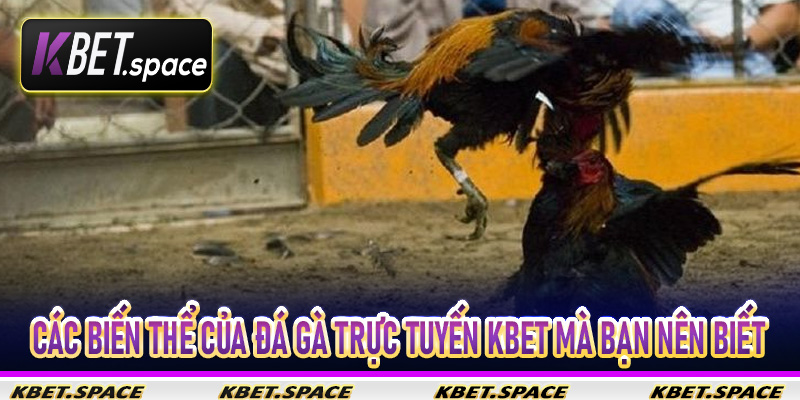 Các biến thể của đá gà trực tuyến Kbet mà bạn nên biết